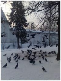 юра геспер 