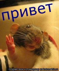 Анастасия Байбышева 