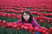 Елена Орлова 