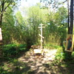 Храм свт. Василия Великого в Осиновой Роще (разрушенный)