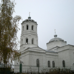 Храм Троицы Живоначальной с. Окуни