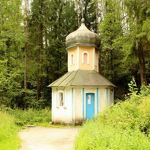 Часовня Иоанна Предтечи д. Воронино