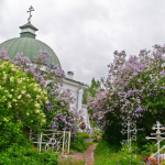 Храм Алексия, человека Божия