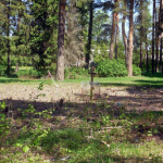 Храм Андрея Первозванного