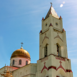 Храм Николая Чудотворца д. Васильевка